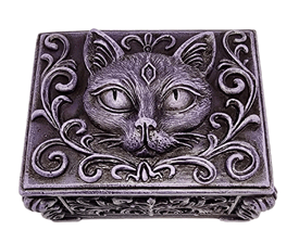 Magical Cat Box